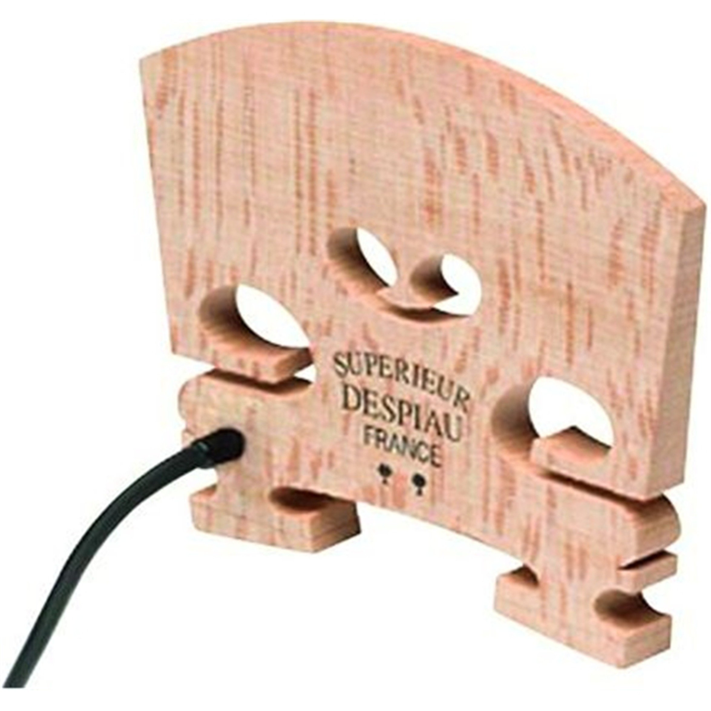 Fishman product image